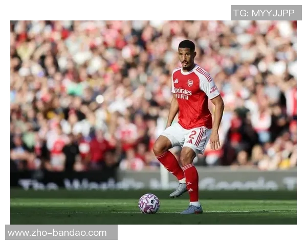 裁判承认失误致阿森纳有效进球被取消赛后诚恳道歉 裁判承认失误致阿森纳有效进球被取消赛后诚恳道歉